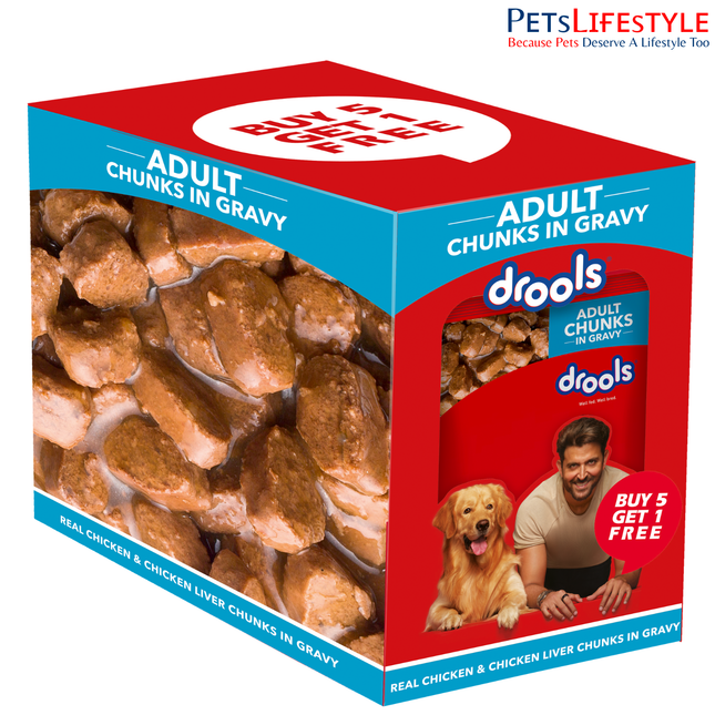 Drools Adult Wet Dog Food Real Chicken & Liver Chunks (6 x 150g)