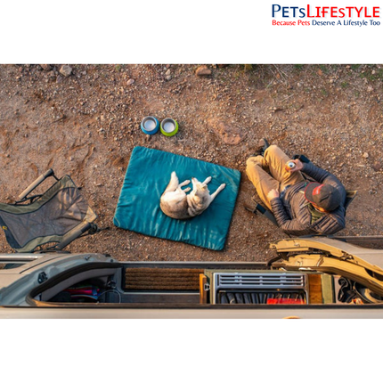 Ruffwear Mt Bachelor Pad Tumalo Teal Portable Dog Bed | Roll-Up Camping & Travel Dog Bed