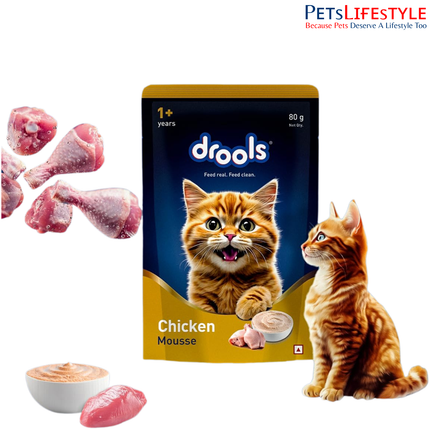 Drools Cat Mousse Wet Cat Food – Chicken Flavour  80g High Protein Smooth Texture