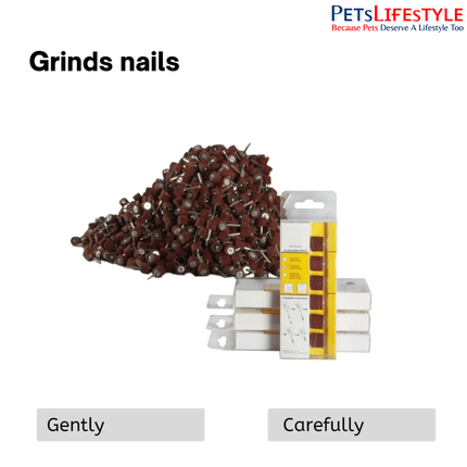 Aeolus Nail Grinder Wheel Head Kit – Pack of 1 for Pets