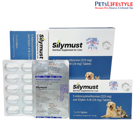 Silymust Liver Support Tablets for Medium Dogs (6–15.5 kg)