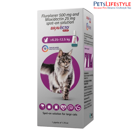 MSD Animal Health Bravecto 500mg (Fluralaner) Spot On for Large Cats (1 tube) Spot-On Tick, Flea & Worm Treatment – 6.25–12.5kg