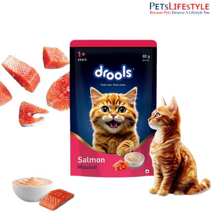 Drools Cat Mousse Wet Cat Food – Salmon Flavour 80g High Protein Smooth Texture Adult Cats 1+ Years