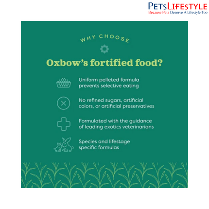 Oxbow Essentials Adult Guinea Pig Food 2.25kg – High Fiber Timothy Hay Diet for Guinea Pigs