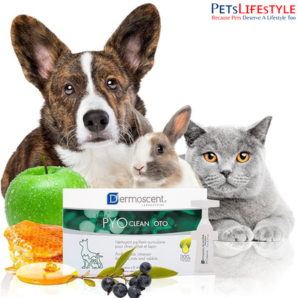 Dermoscent PYOclean Oto Ear Cleanser for Dogs, Cats & Small Mammals (10 x 5 ml Monodoses)