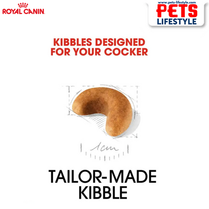 Royal Canin Cocker Junior Dry Dog Food
