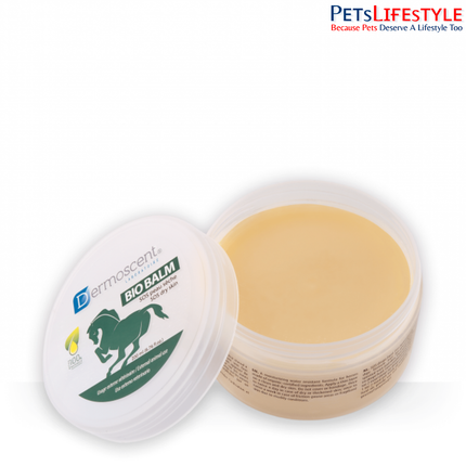 Dermoscent BIO BALM for Horses – Nourishing & Protective Skin Balm