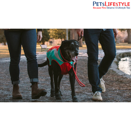 Ruffwear Just-a-Cinch Dog Leash | Reflective Slip Lead & Collar Combination for Dogs