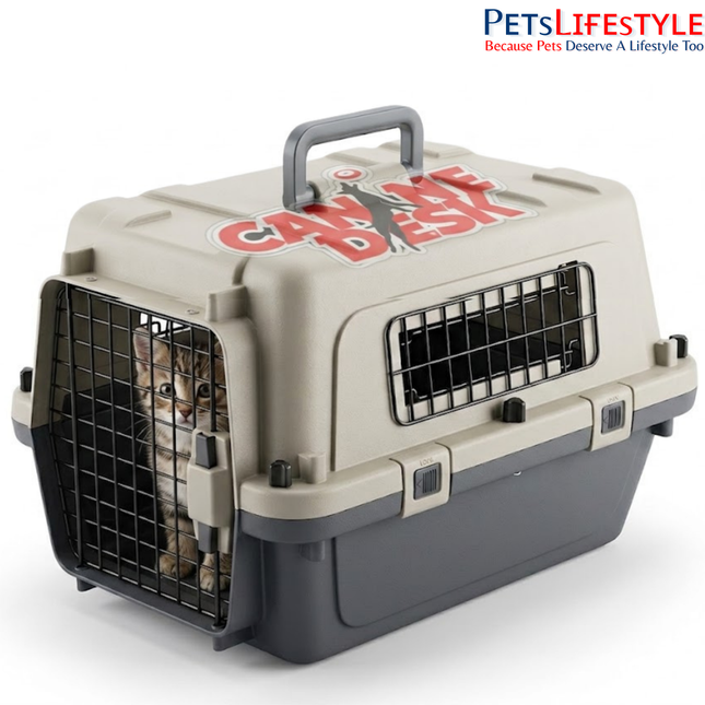 Canine Desk Flight Carrier (19 x 13 x 16 Inches) | IATA Airline Approved Small Dog, Puppy & Kitten Travel Crate