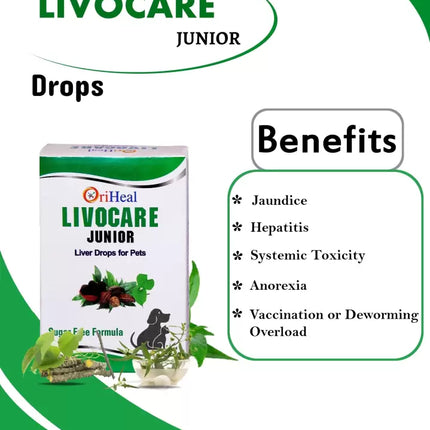 OriHeal Livocare Junior Drops-60ml