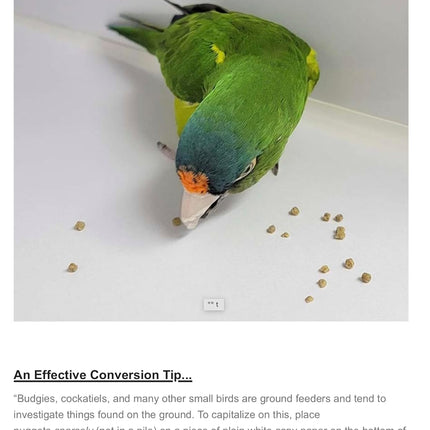 Harrison's Bird Foods Adult Lifetime Fine Certified Organic Maintenance Formula For Small To Medium Birds
