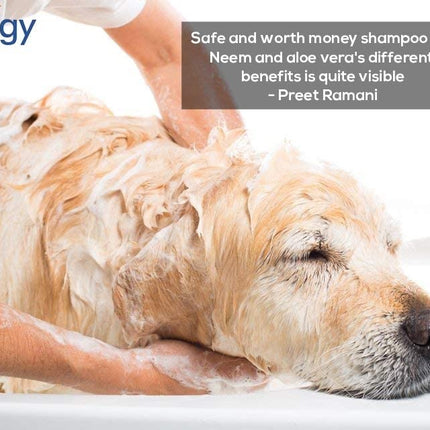 Medilogy Biotech Dog Shampoo Neem Aloe Vera 1 Litre Ayurvedic White Color Promotes Healthy Skin Coat Anti Bacterial Anti Fungal Anti Itch Anti Inflammatory