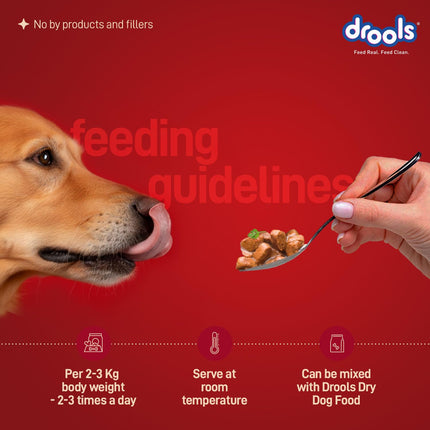 Drools Duck with Pumpkin & Tomato Chunks Gravy 120g (5+1 Pack)