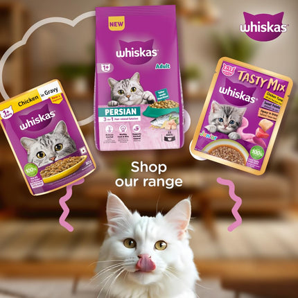 WHISKAS Persian Dry Adult Food