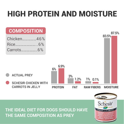 Schesir Chicken with Carrot Wet Food for Dogs, Real Meat Fillets in Jelly, Natural Protein-Rich Dog Food with Vegetables & Vitamins, 285 gm