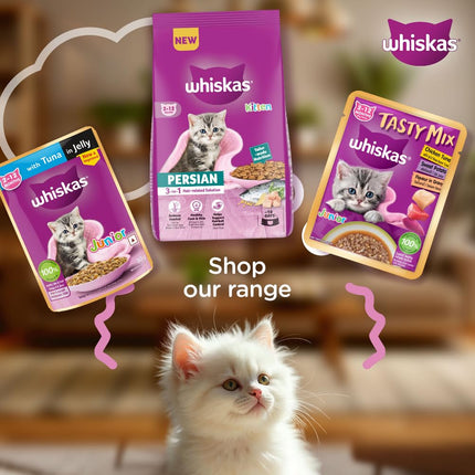 WHISKAS Persian Dry Kitten Food