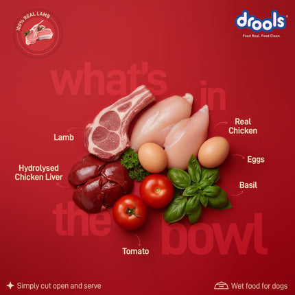 Drools Duck with Pumpkin & Tomato Chunks Gravy 120g (5+1 Pack)