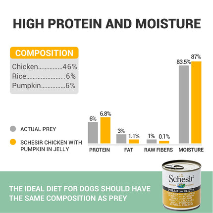Schesir Chicken with Pumpkin Wet Food for Dogs, Real Meat Fillets in Jelly, Natural Protein-Rich Dog Food with Vegetables & Vitamins, 285 g (Chicken with Pumpkin)