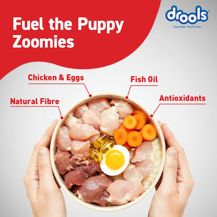 Drools Daily Nutrition Chicken and Egg Puppy Dog Dry Food