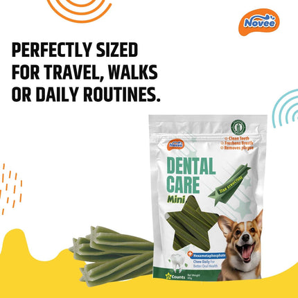 Novee Dental Care Mini Dog Treats – Star-Shaped Dental Chews for Oral Hygiene & Fresh Breath 65g