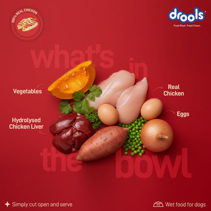 Drools Sunday Roast Chicken & Vegetables Gravy 120g (5+1 Pack)