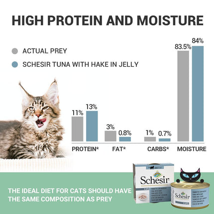 Schesir Tuna with Salmon Wet Food for Adult Cats, Natural Fish Fillets in Jelly, High Protein Premium Cat Food, No Artificial Preservatives, 85 Grams