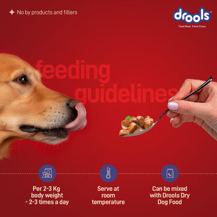Drools Turkey with Wild Rice & Pumpkin Gravy 120g (5+1 Pack)