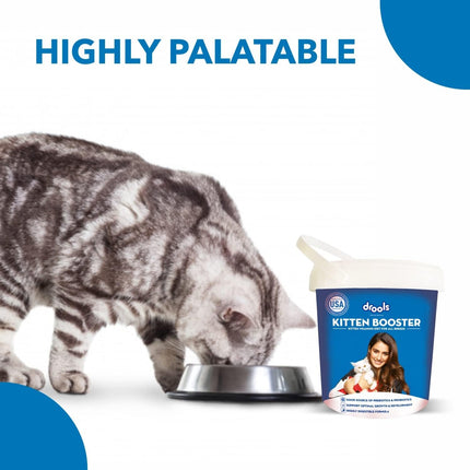 Drools Kitten Booster - Kitten Weaning Diet - 300g