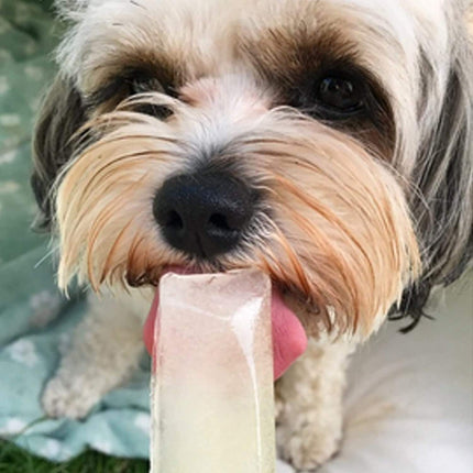 Woof & Brew Paw Pops Ready-to-Freeze Ice Pops for Dogs – Blueberry Flavour (6 Pack)
