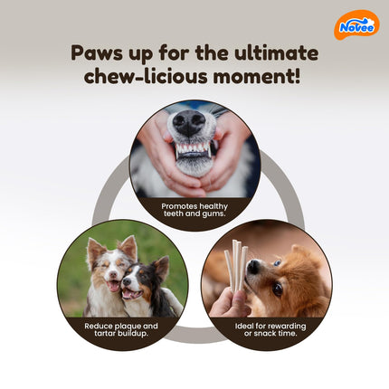DOGAHOLIC Milky Chew Goat Milk Stick Treats for Dogs – Premium Long-Lasting Calcium-Rich Chew Snacks 500g
