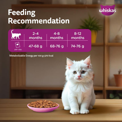 WHISKAS Persian Dry Kitten Food