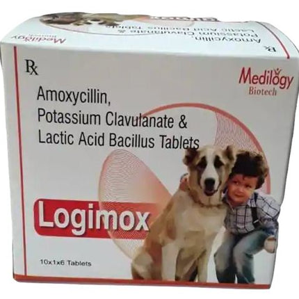 MEDILOGY LOGIMOX TABLET 1X6  - 625 mg