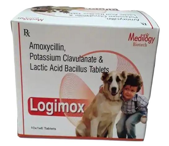 MEDILOGY LOGIMOX TABLET 1X6  - 625 mg