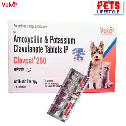 Veko CLAVPET 250 Tablets – Amoxicillin & Clavulanate Potassium (1x10 Tablets)