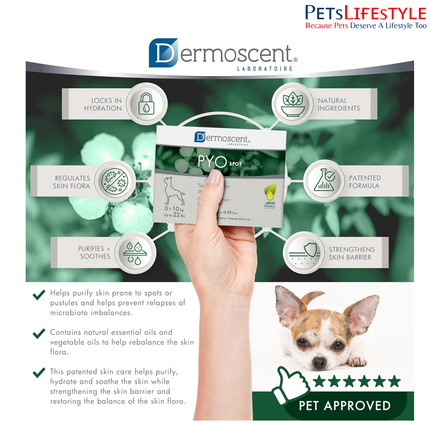 Savavet Dermoscent Pyospot Purifying Spot On for Dogs Between 0 to 10kg (0.6ml x 4 Pipette)