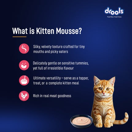 Drools Salmon Mousse Kitten 80g (5+1 Pack)