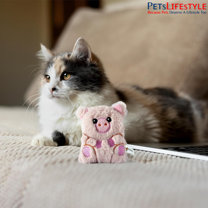 FOFOS Floppy Crinkle Pig Cat Toy – Plush Catnip & Crinkle Toy for Cats & Kittens