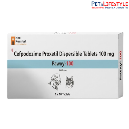 Neo Kumfurt Pawxy – Broad-Spectrum Cephalosporin Antibiotic Tablets for Dogs