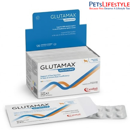 Glutamax Advanced Liver Support Tablets for Dogs & Cats Chronic Liver Care (120 Tablets)