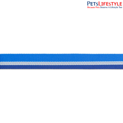 Ruffwear Chain Reaction Martingale Dog Collar Blue Pool | Reflective Limited-Cinch Training Collar with Stainless Steel Chain