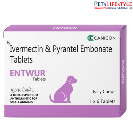 Canicon Entwur Tablet For Dogs