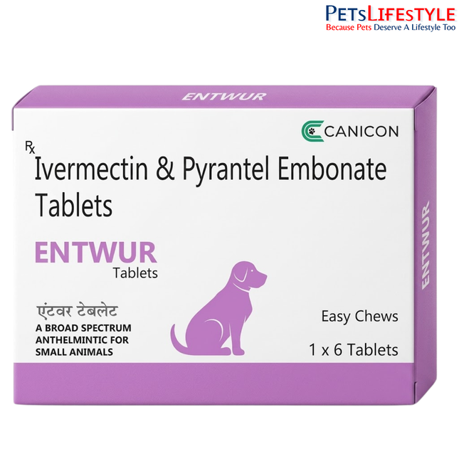 Canicon Entwur Tablet For Dogs
