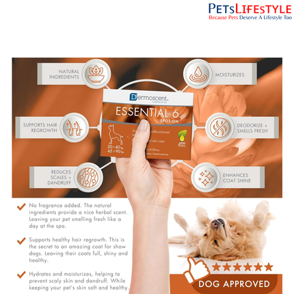 Savavet Dermoscent Essential 6 Spot-On for 20 to 40kg Skin & Coat Care Care for Dogs