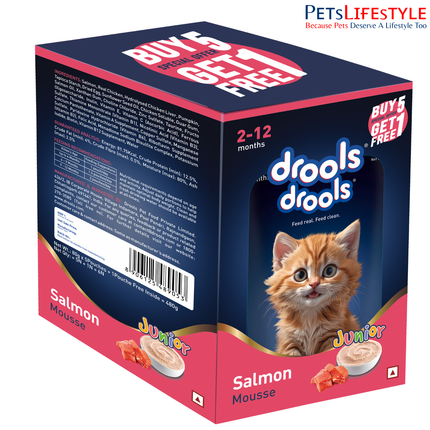 Drools Salmon Mousse Kitten 80g (5+1 Pack)