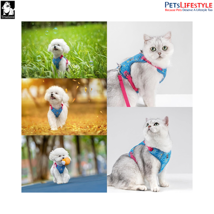 Truelove Ultra Light Small Dog Harness & Leash Set – Black