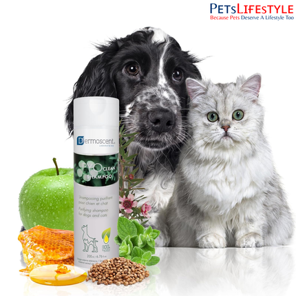 Dermoscent PYOclean Shampoo for Dogs – Purifying Anti-Pyoderma Skin Care Shampoo (200 ml)