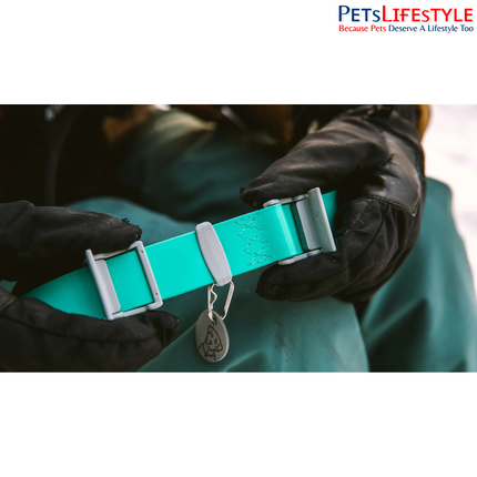 Ruffwear Confluence Dog Collar | Waterproof & Stink-Proof Adventure Dog Collar