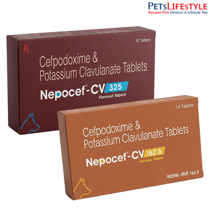 Nepocef-CV Tablets for Dogs – Advanced Antibiotic Support for Canine Pyoderma & Bacterial Infections