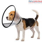 (No. 05) Beagle to Cocker Spaniel