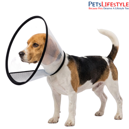 Elizabethan Collar for Dogs, Cats & Rabbits – Protective Recovery Cone (E-Collar)